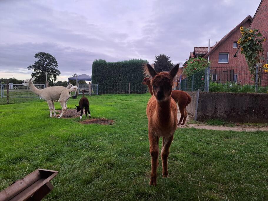 Das Bergherz Ruhe + Natur Pur Reken Extérieur photo